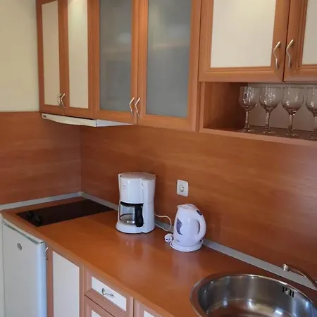 Къща Старият Кестен Guest house *